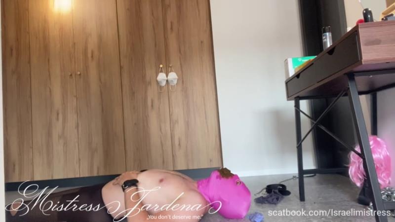 Its was his First Scat Session and Strapon With Mistress Jardena P1 (2025 | FullHD)