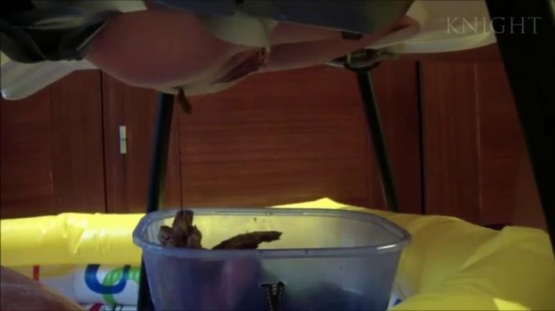 Young Girls Poop From Chair On Slave In Pool P1 (2025 | SD)