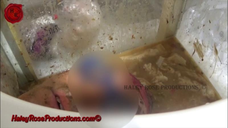 12 Hours Locked in Toilet Box Part 2 - Haley Rose Productions (2025 | FullHD)