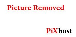 PLBZ – The ass of the human toilet must be punished in order to work properly (2025 | HD)