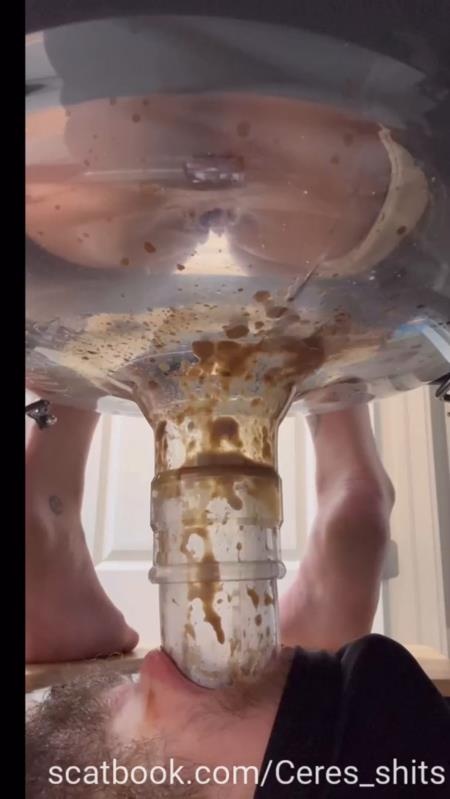 A Day of Shitting Down My Toilet's Throat P1 (2025 | SD)