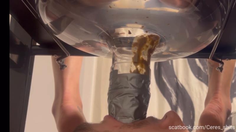 Quick Liquid Diarrhea for My Septic Tank with Goddess Ceres P1 (2025 | FullHD)