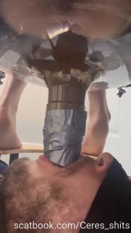 Toilet Annihilation with Goddess Ceres P1 (2025 | SD)