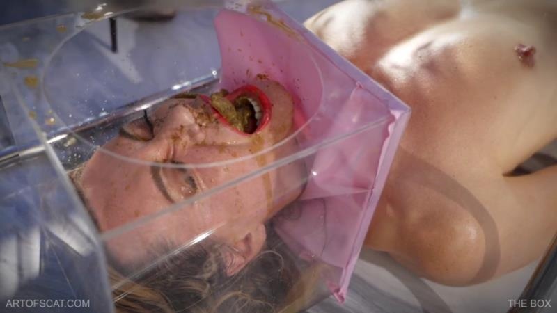 THE BOX - QS, NAZRYANA (2025 | FullHD)