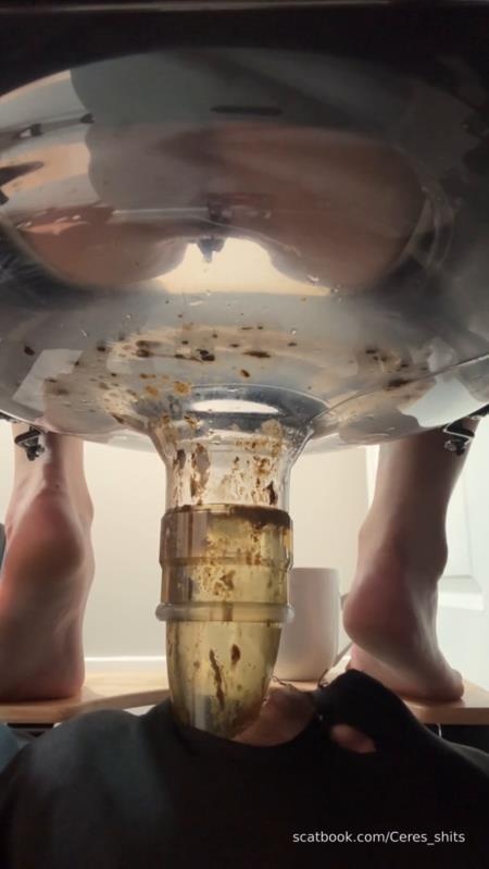 2025-11-03 - My Diarrhea Recepticle - Goddess Ceres (2025 | SD)