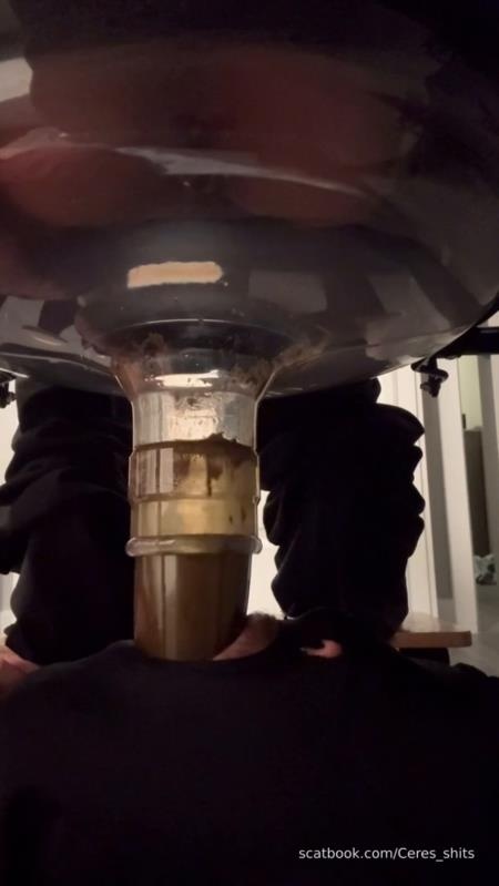 Goddess Ceres-2025-10-19 - Toilet Swallows All My Waste For The Day (2025 | SD)