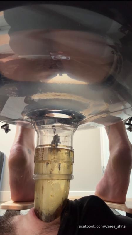 Five Levels of Shit » Mixfemdomcc - Latest Femdom Porn for Online Streaming - Goddess Ceres (2025 | SD)