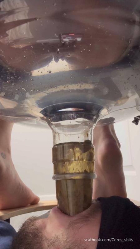 Human Toilet's First Malfunction Infinite Shit Down Your Throat » Mixfemdomcc - Latest Femdom Porn for Online Streaming - Goddess Ceres (2025 | SD)