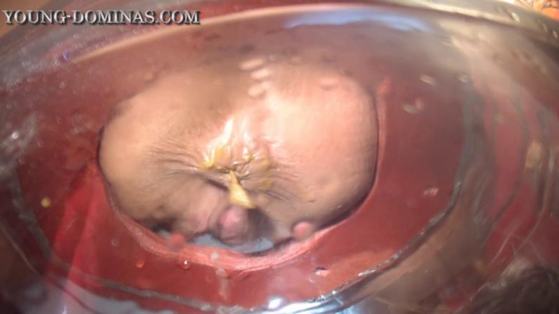 The Poop Barril Part 3 HD. P1 (2026 | HD)