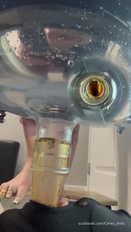 Septic Tank Almost Fails P1 (2026 | SD)