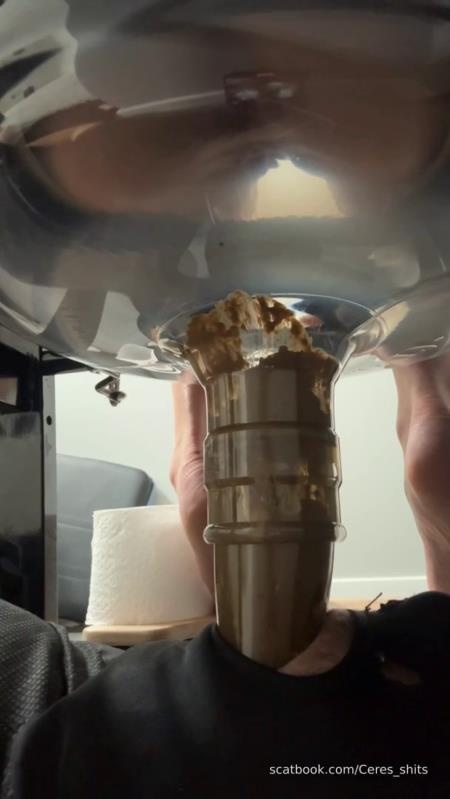 Daily Toilet Torture P1 (2026 | SD)