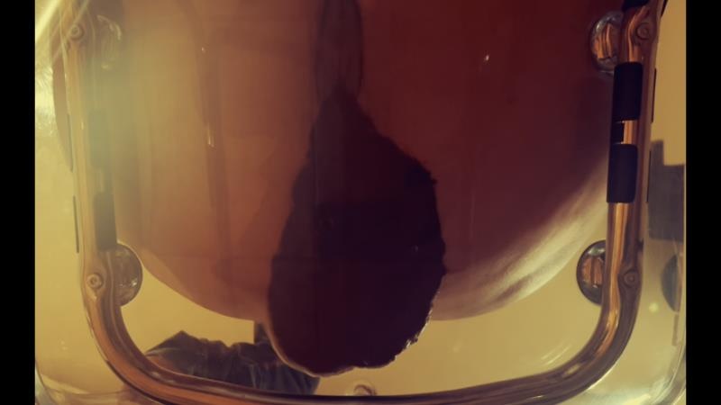 Poop in transparent chair (2026 | HD)