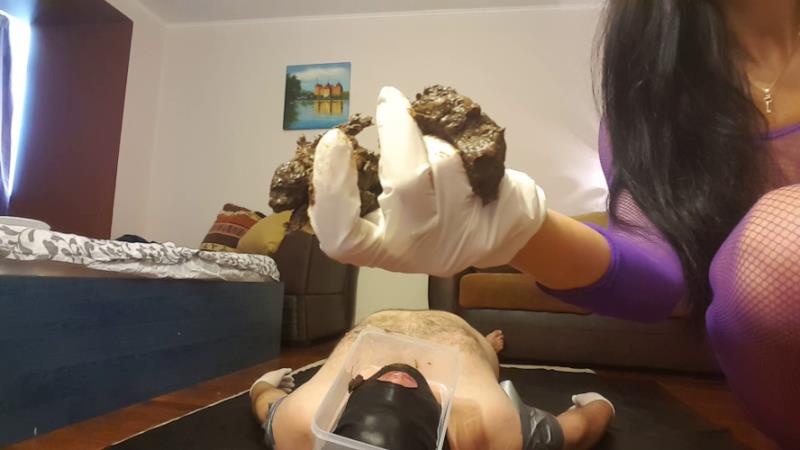 Pooping On My Slave’s Face (2026 | FullHD)