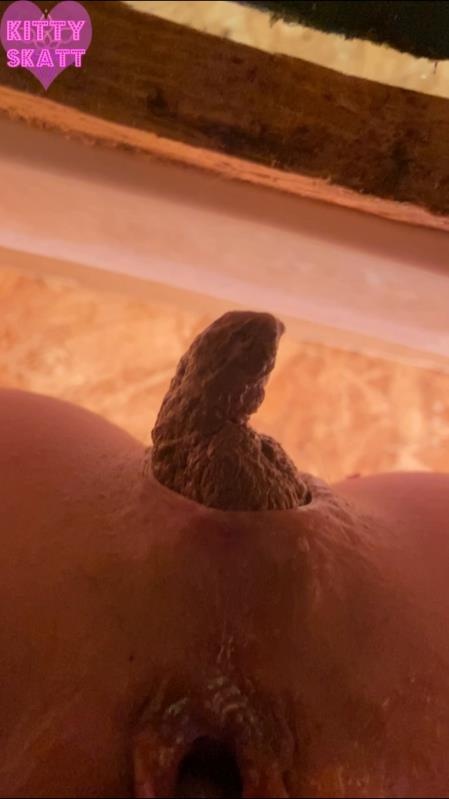 POV hookup in festival toilet - Kitty Skatt (2026 | SD)