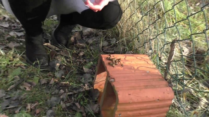 Compilation Dump Set 177 Videos P16 - HotDirtyIvone (2026 | FullHD)