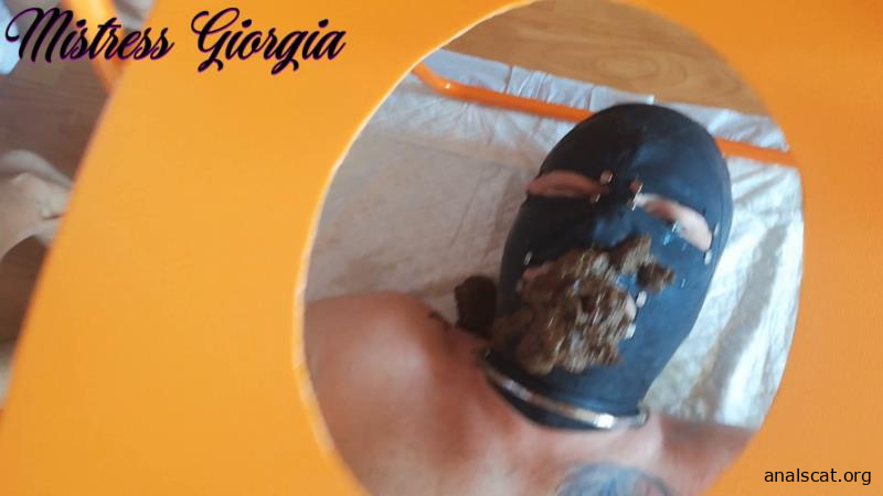 morning shit » Mixfemdomcc - Latest Femdom Porn for Online Streaming - Mistress Giorgia (2026 | FullHD)